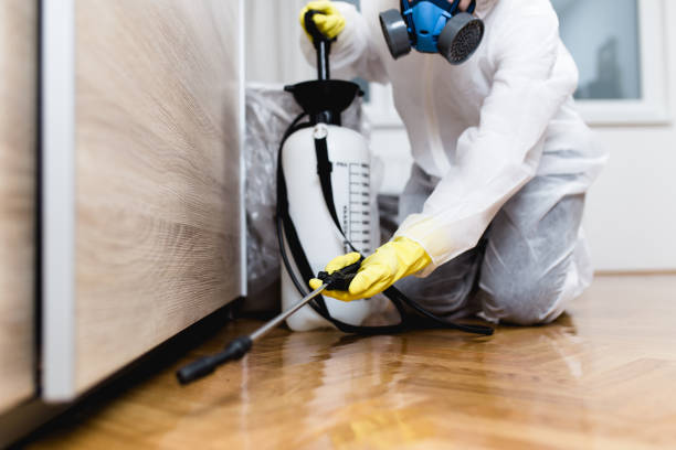 Best Pest Control Treatment  in Blakely, PA